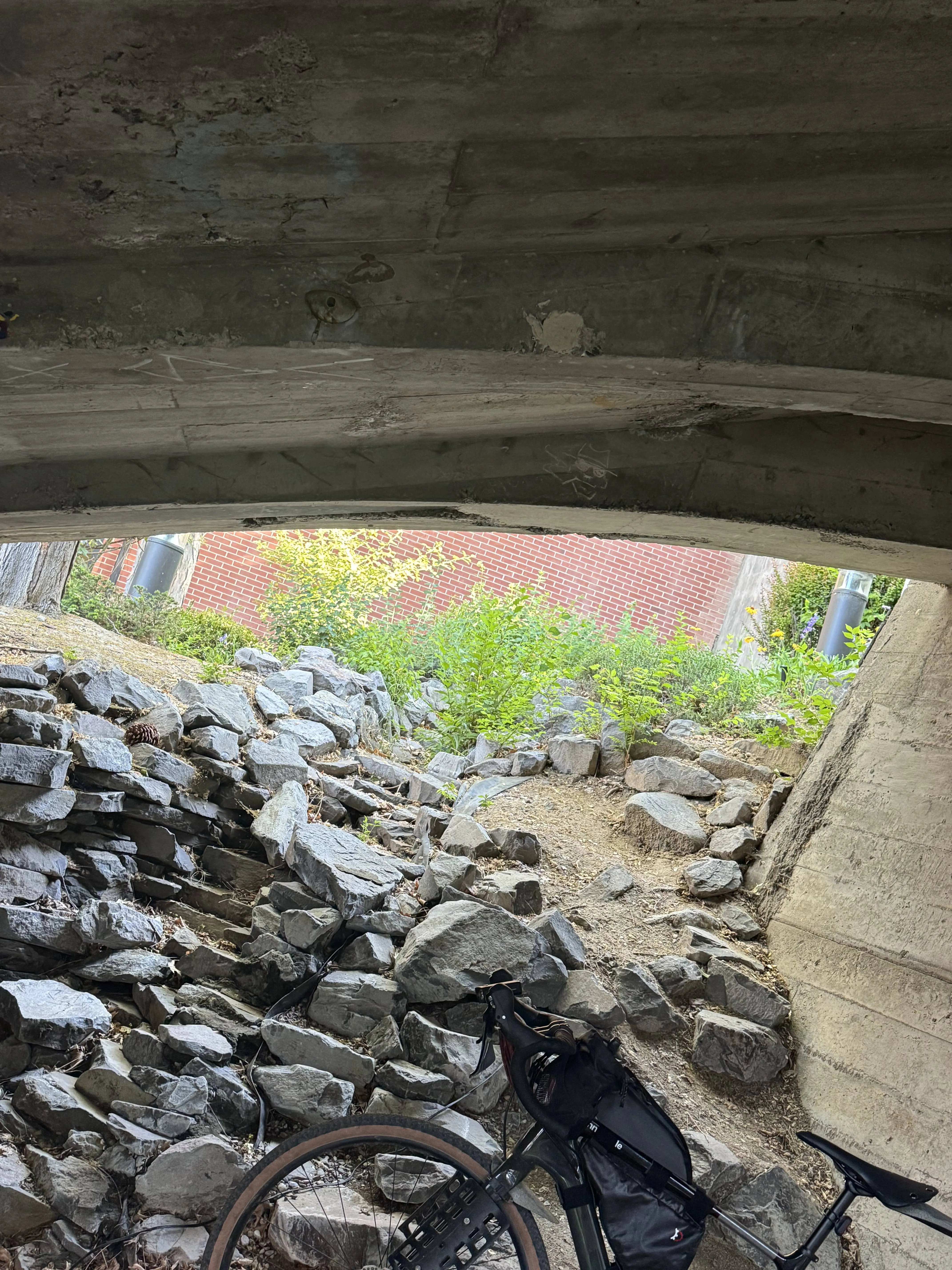 https://reno-biketag.sfo3.cdn.digitaloceanspaces.com/main/reno-tag-18--mystery.webp